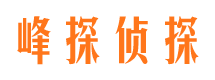 察雅找人公司